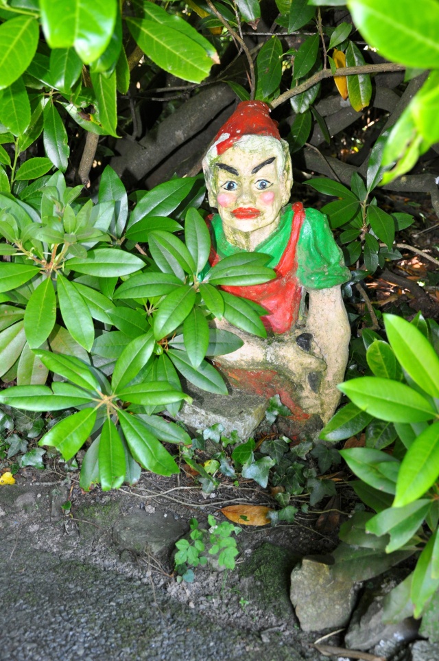 Rather wicked gnome